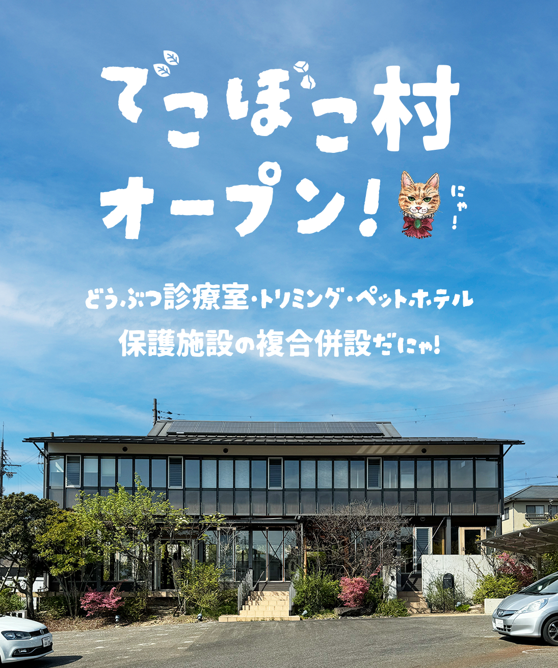 でこぼこ村オープン！どうぶつ診療室・トリミング・ペットホテル保護施設の複合併設だにゃ！