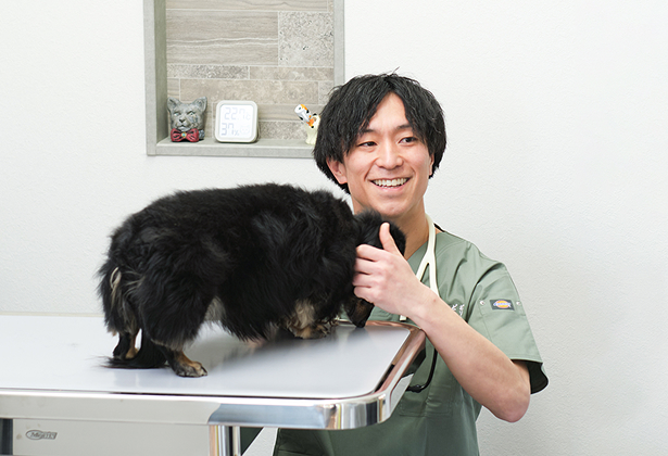 おりひめどうぶつ診療室