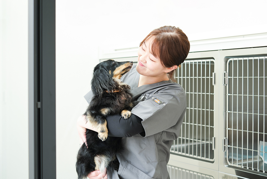 ペットホテルヒコボシ