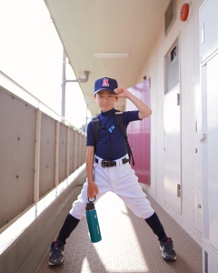 「いしのいえ」「きのいえ」が出現