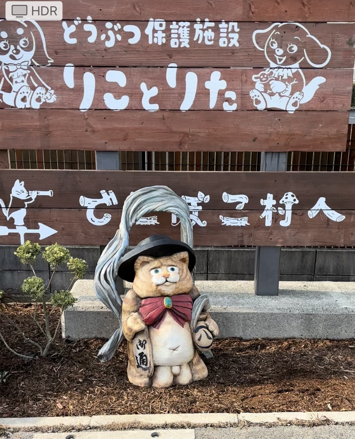 ゲートができたのでプランターを作り、みかんの木を植えました