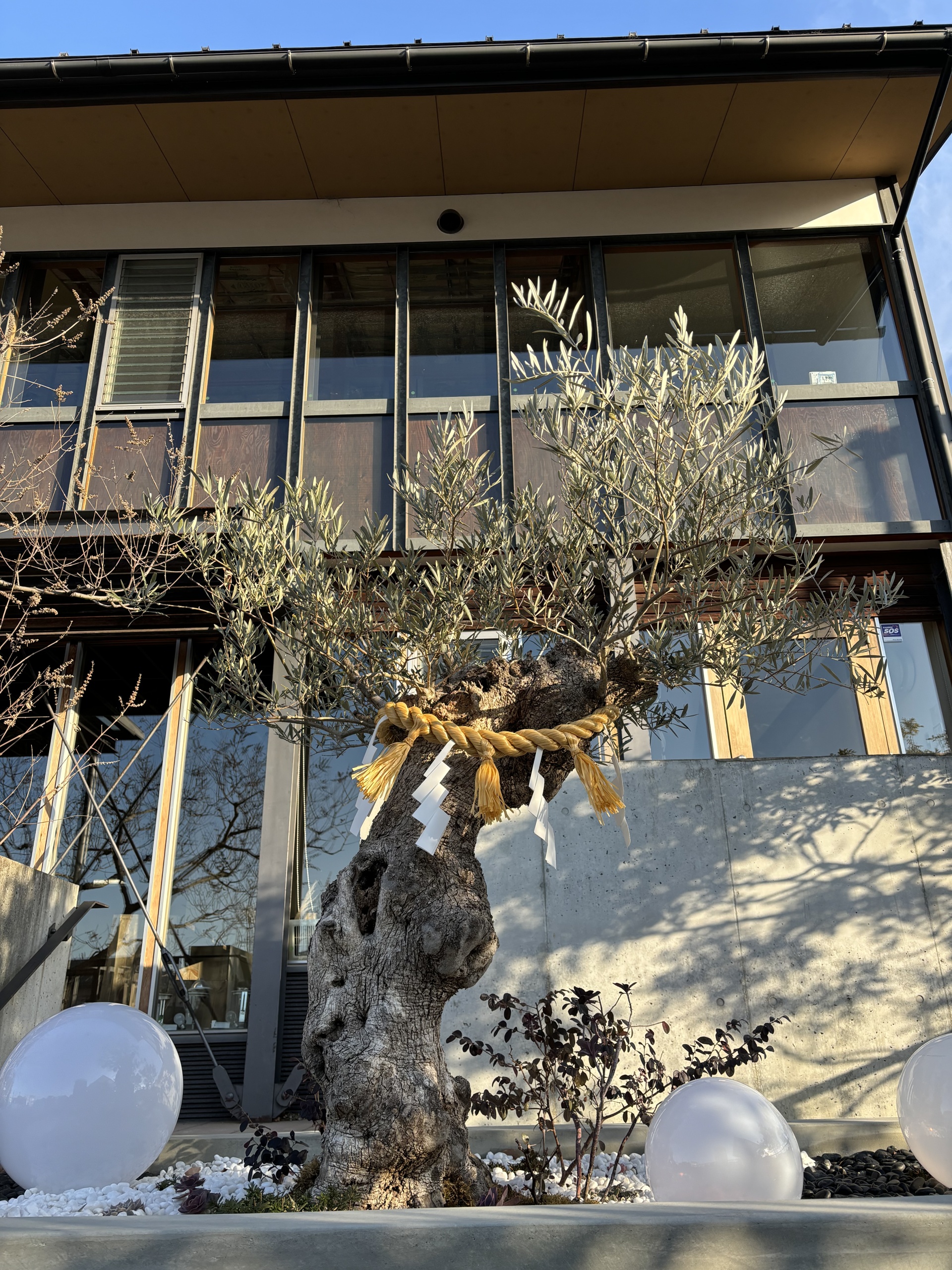 新年あけましておめでとうございます